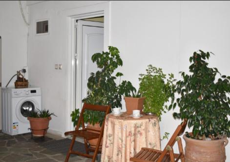 Zoe'S Apartment Bright&Cozy Athens Luaran gambar