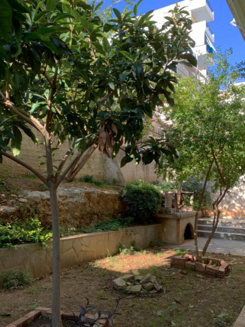 Zoe'S Apartment Bright&Cozy Athens Luaran gambar