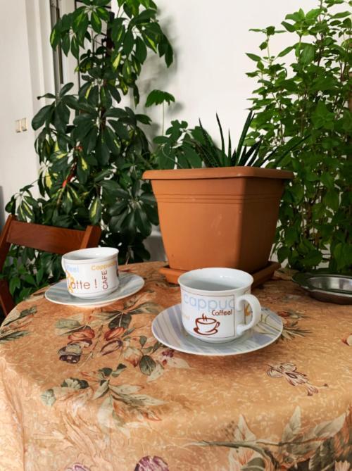 Zoe'S Apartment Bright&Cozy Athens Luaran gambar